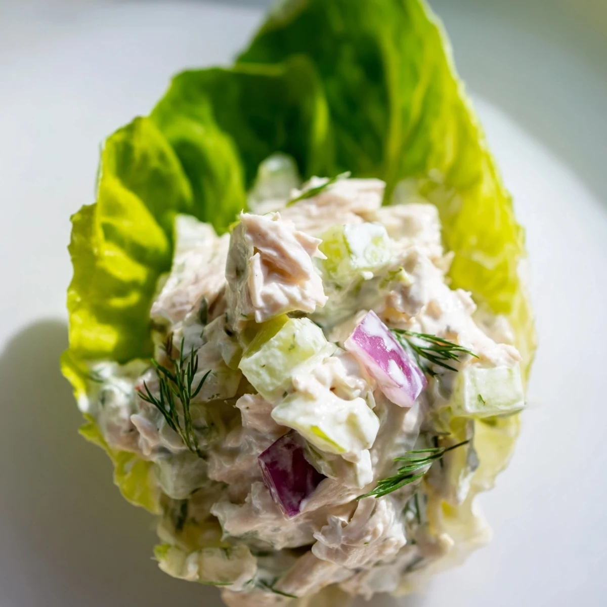 Tangy dill pickle chicken salad filling bright green lettuce cups, garnished with fresh dill and red onion.
